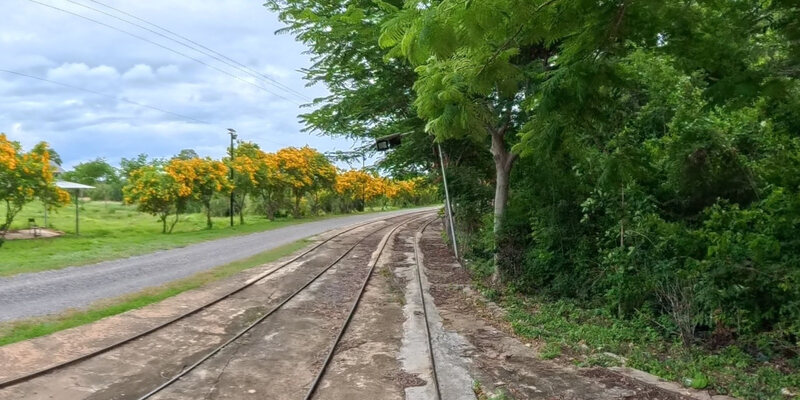Banan Bamboo Train Park and Garden — 14