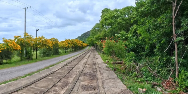 Banan Bamboo Train Park and Garden — 15
