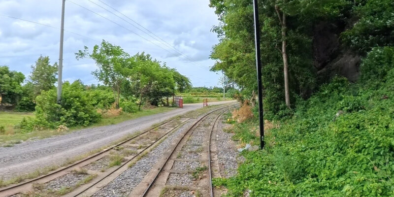 Banan Bamboo Train Park and Garden — 34
