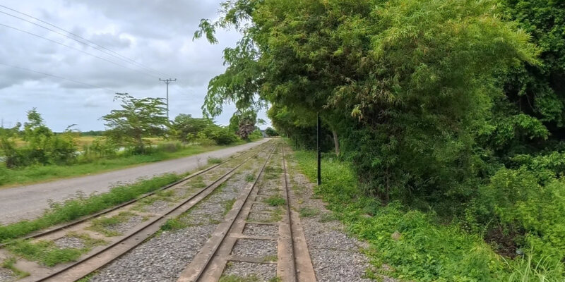 Banan Bamboo Train Park and Garden — 37