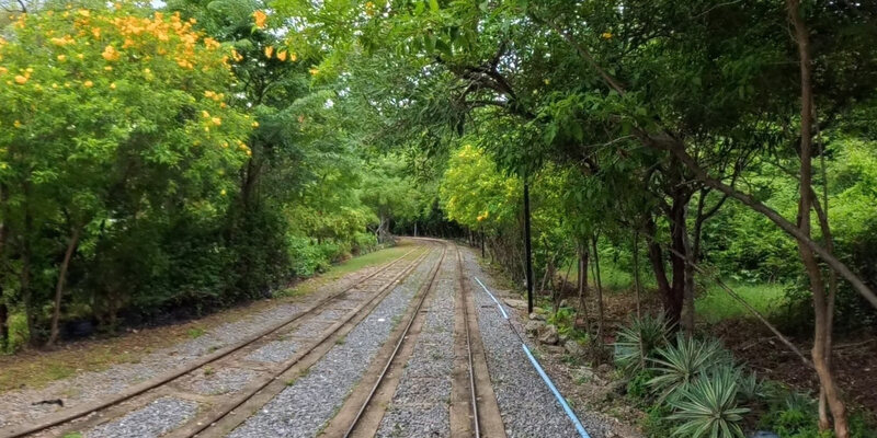 Banan Bamboo Train Park and Garden — 55